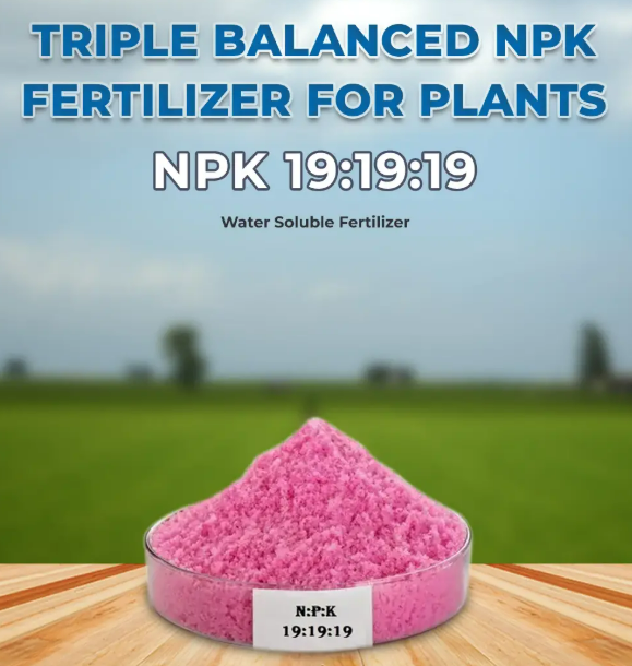 19-19-19 1kg 100% Water Soluble Fertilizer