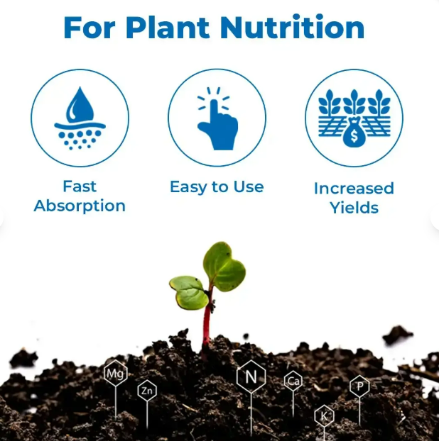 19-19-19 1kg 100% Water Soluble Fertilizer