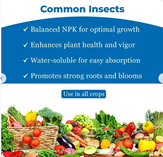 19-19-19 1kg 100% Water Soluble Fertilizer