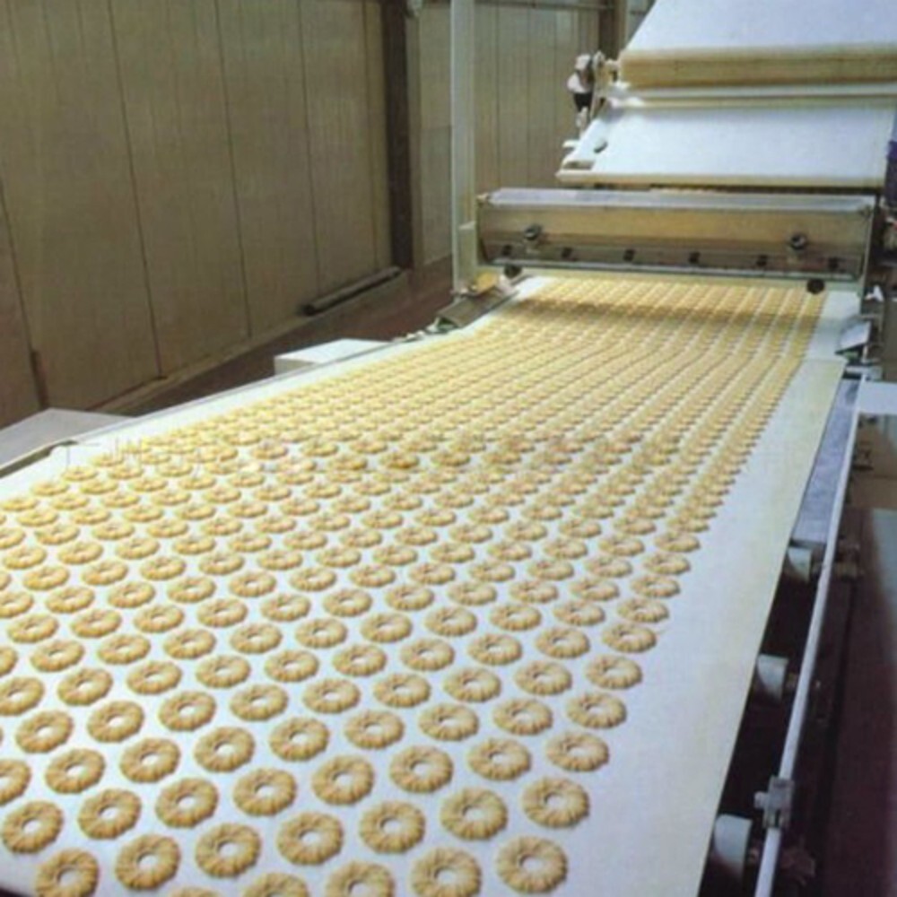 Biscuit Plant Convener Belt