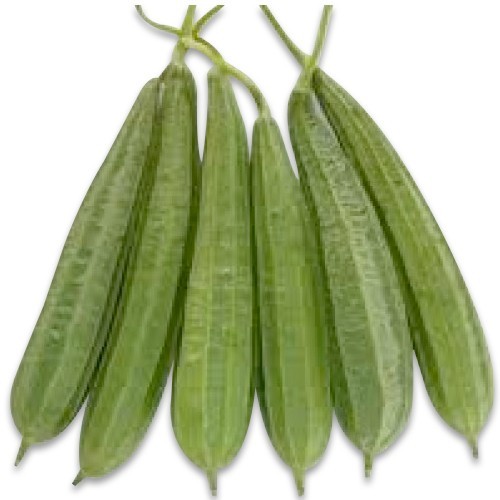 रिज़ गोर्ड