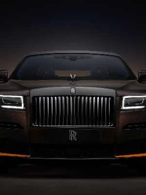 Titanic Titanium guard