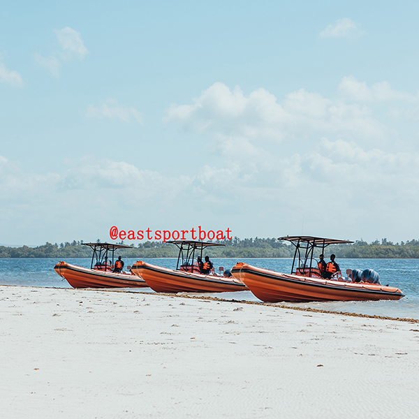 Rigid Inflatable Boat, Outboard Engine Boats,rib Boat,sport Boats 7600cm 25ft - Capacity: 1500 Kg