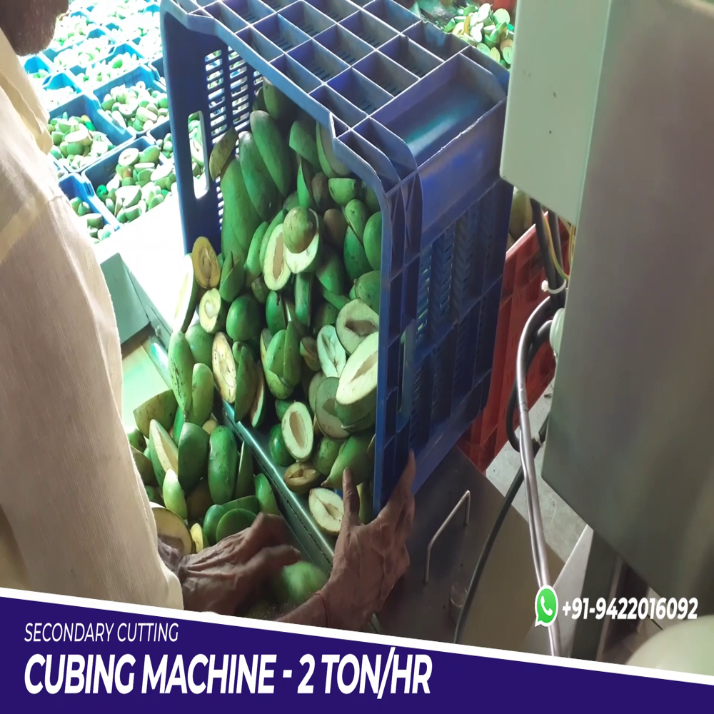 Raw Mango Cutting Machine