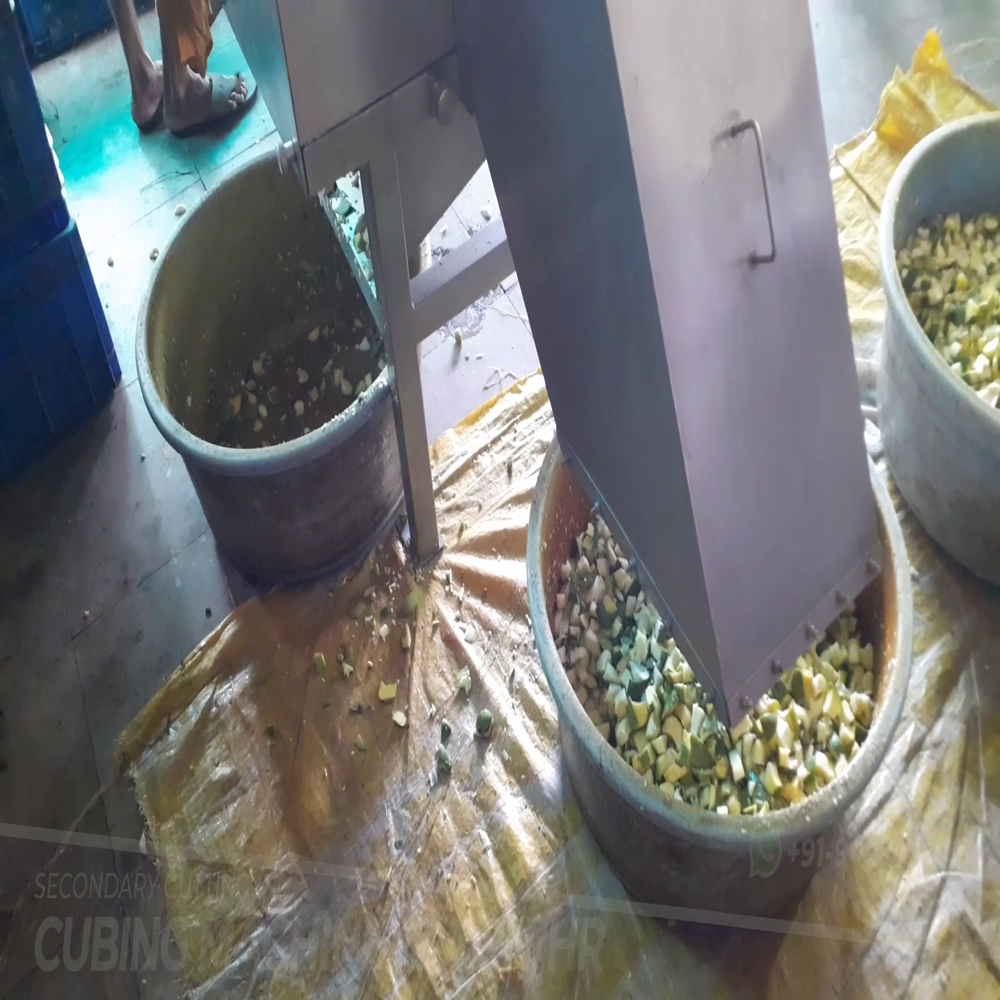Raw Mango Cutting Machine
