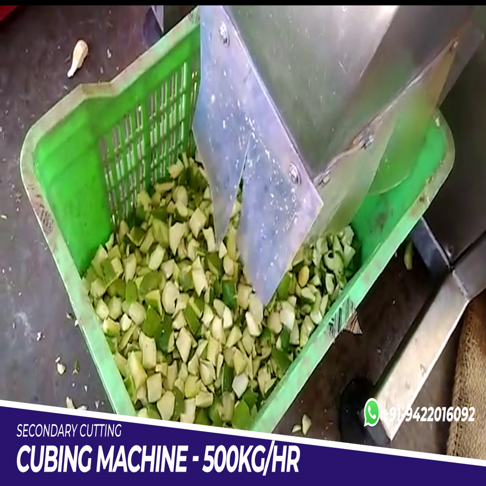 Raw Mango Cutting Machine