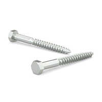 Lag Bolt - Color: As Per Demand