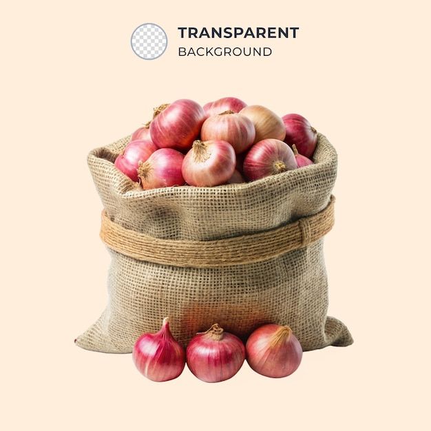 Fresh Onion - Color: Red