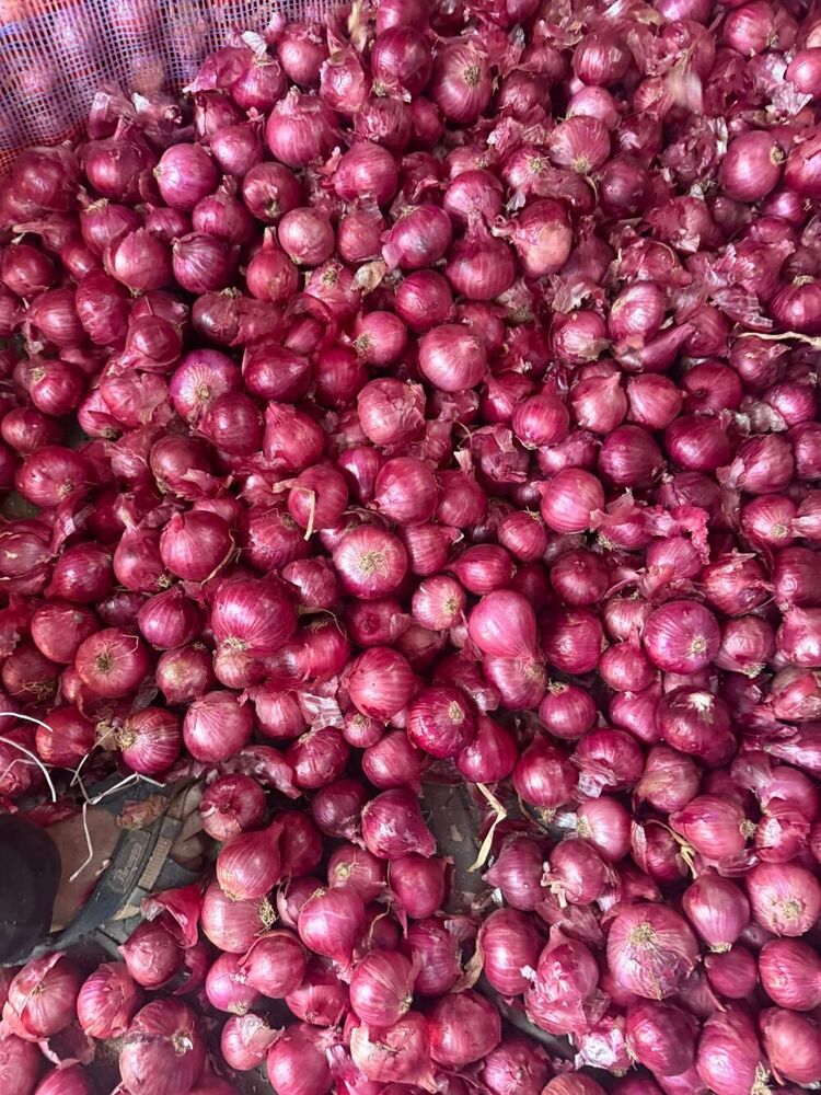 2012 Red Onion - Moisture (%): 75% To 85%