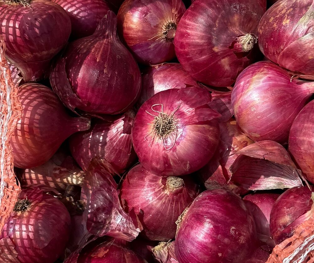 Pink Onion - Moisture (%): 75% To 85%
