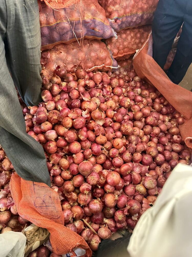 Fresh Pink Onion - Moisture (%): 75% To 85%