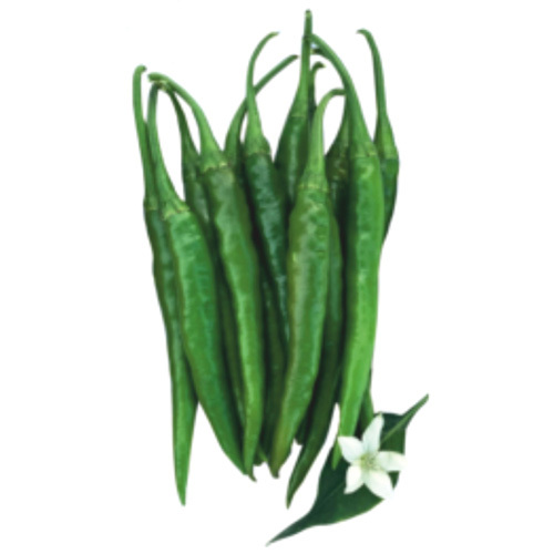 Rudra F1 Chilli