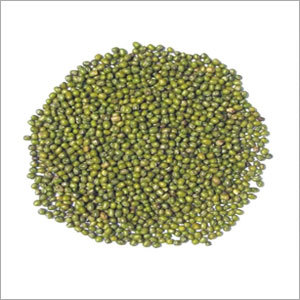 Common Fresh Moong Dal Green Gram