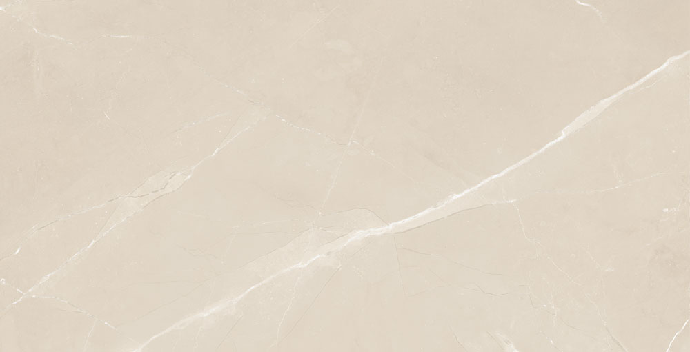 DLG - 116 60X120CM PORCELAIN TILES