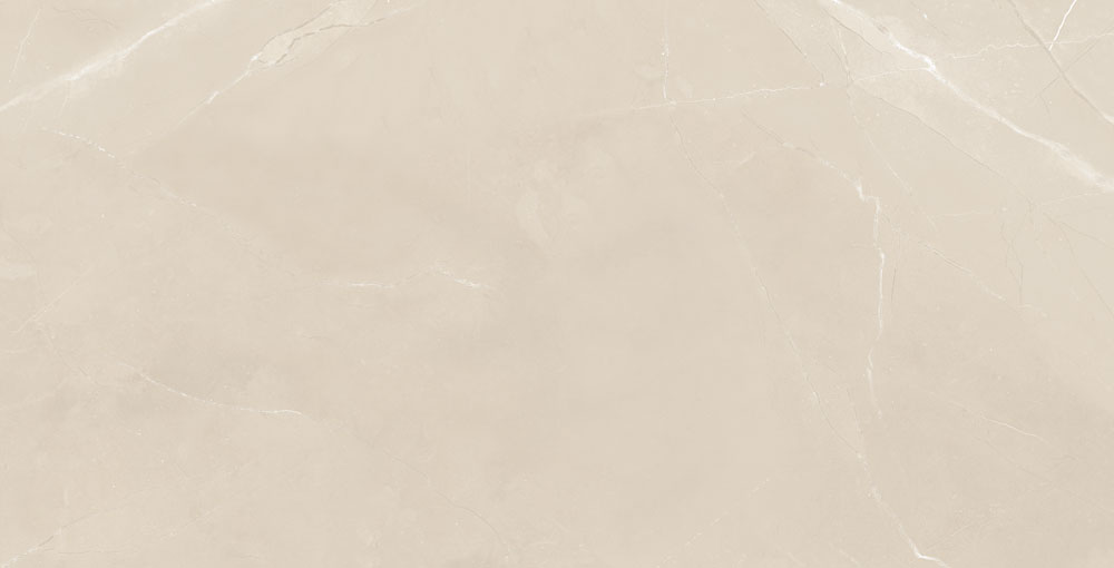 DLG - 116 60X120CM PORCELAIN TILES