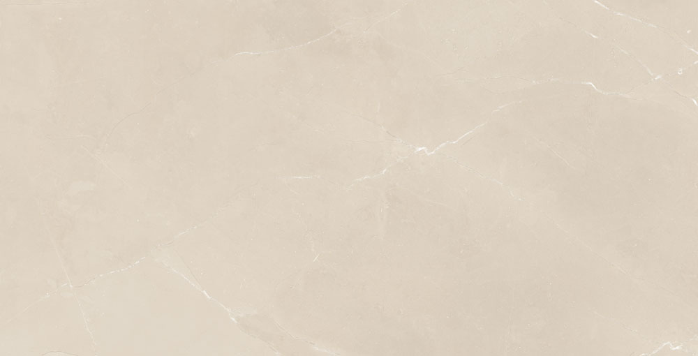 DLG - 116 60X120CM PORCELAIN TILES
