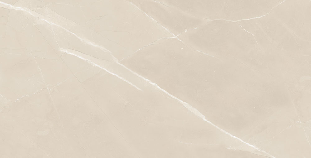 DLG - 116 60X120CM PORCELAIN TILES
