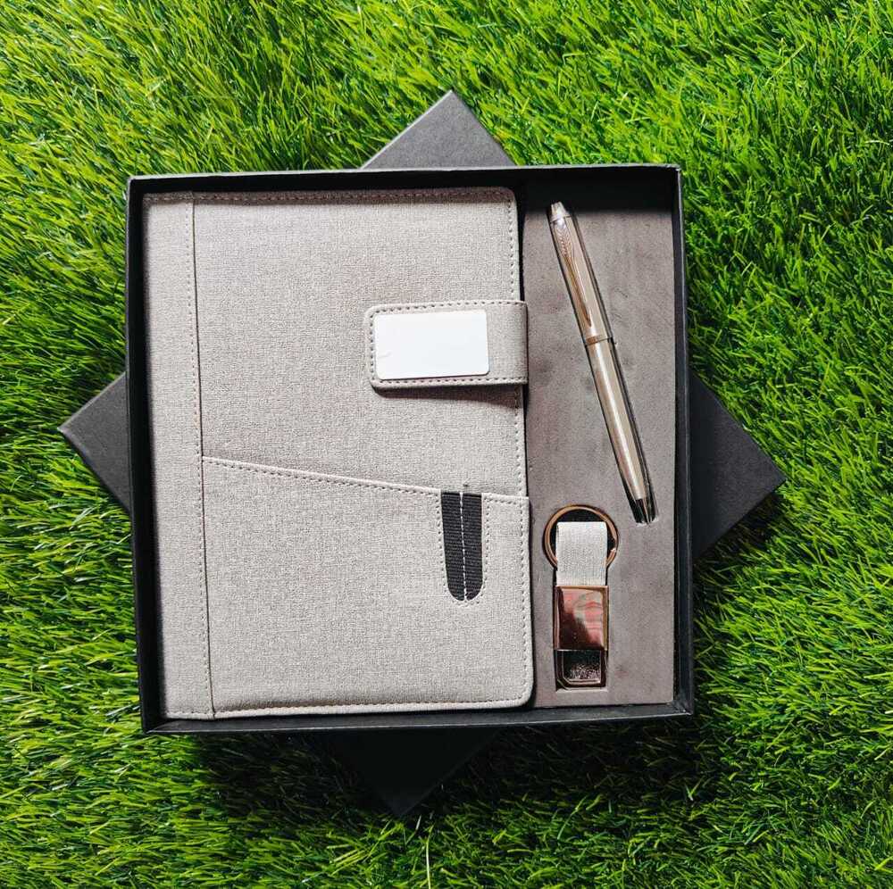 Diary Pen and Keychain