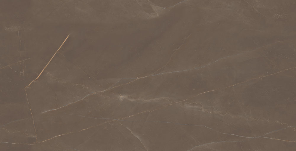 DLG - 120 60X120CM PORCELAIN TILES