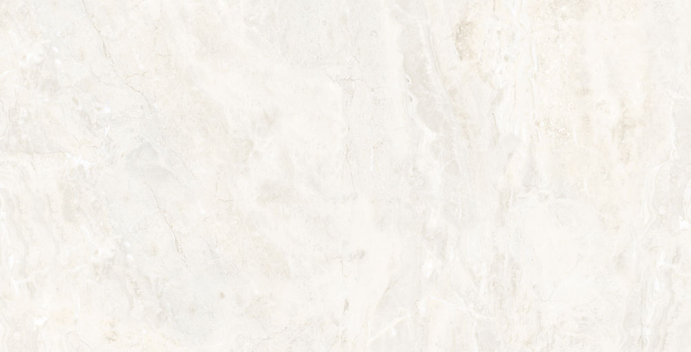 DLG - 121 60X120CM PORCELAIN TILES