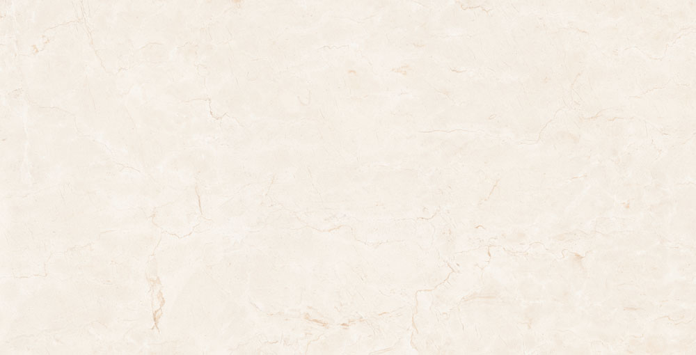 DLG - 123 60X120CM PORCELAIN TILES