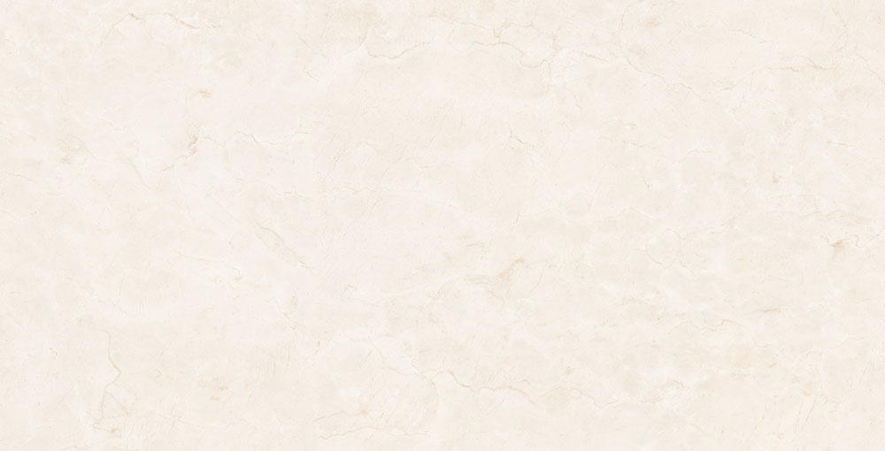 DLG - 123 60X120CM PORCELAIN TILES