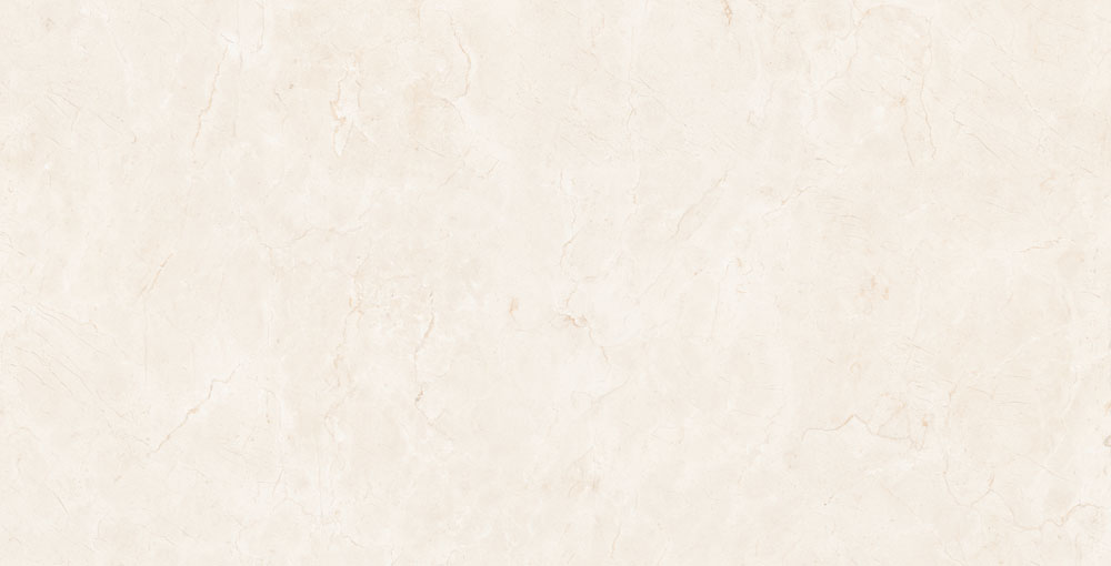 DLG - 123 60X120CM PORCELAIN TILES