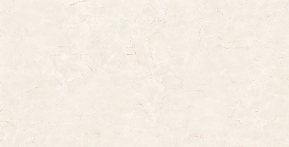 DLG - 123 60X120CM PORCELAIN TILES