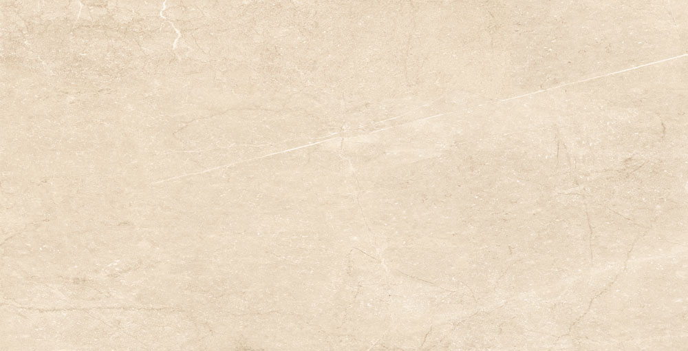 DLG - 124 60X120CM PORCELAIN TILES