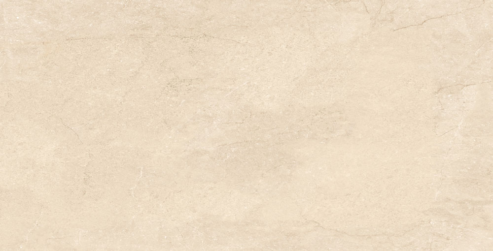 DLG - 124 60X120CM PORCELAIN TILES