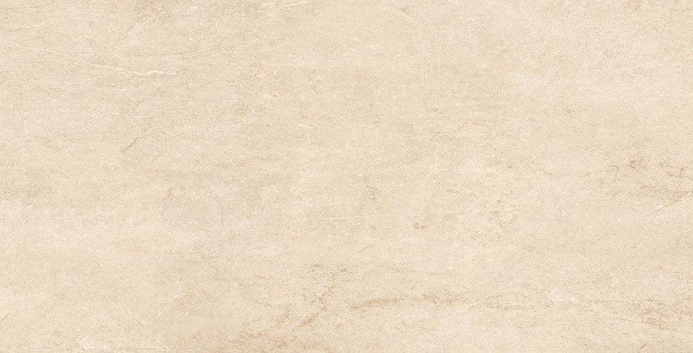 DLG - 124 60X120CM PORCELAIN TILES