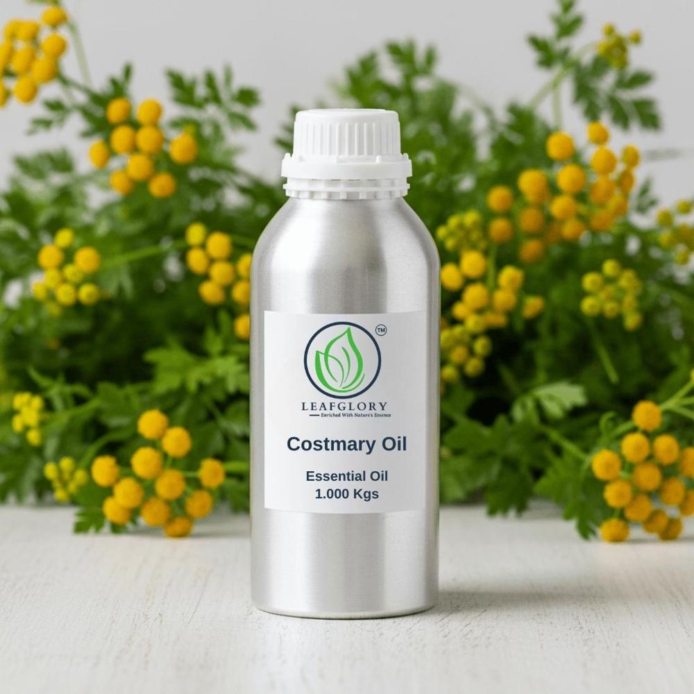 Costmary Essential Oil (Tanacetum Balsamita Oil) 100% Pure & Natural Herbal Aromatic Oil For Perfumery, Cosmetics & Aromatherapy | Wholesale Manufacturer & Exporter From India | Leafglory - Age Group: Old Age