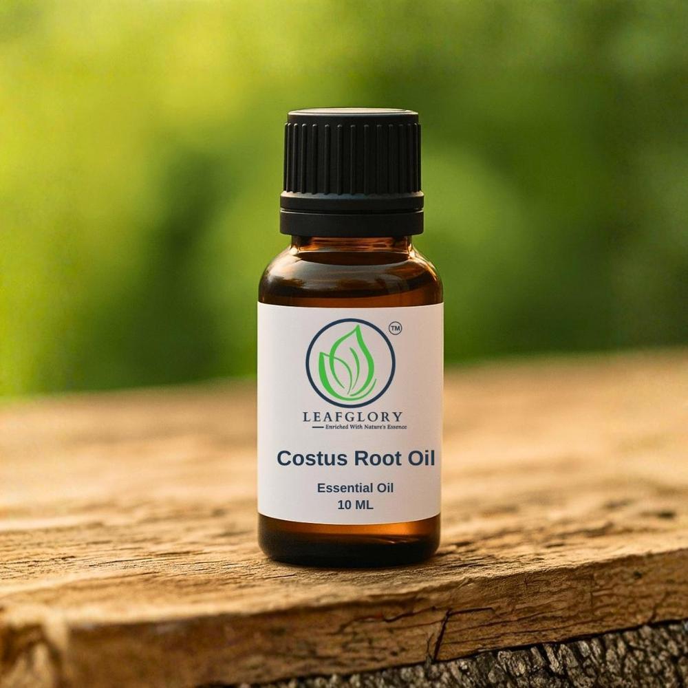 Costus Root Oil 100% Pure & Natural Aromatic Root Essential Oil for Perfumery & Ayurvedic Formulations | Manufacturer & Exporter | Leafglory