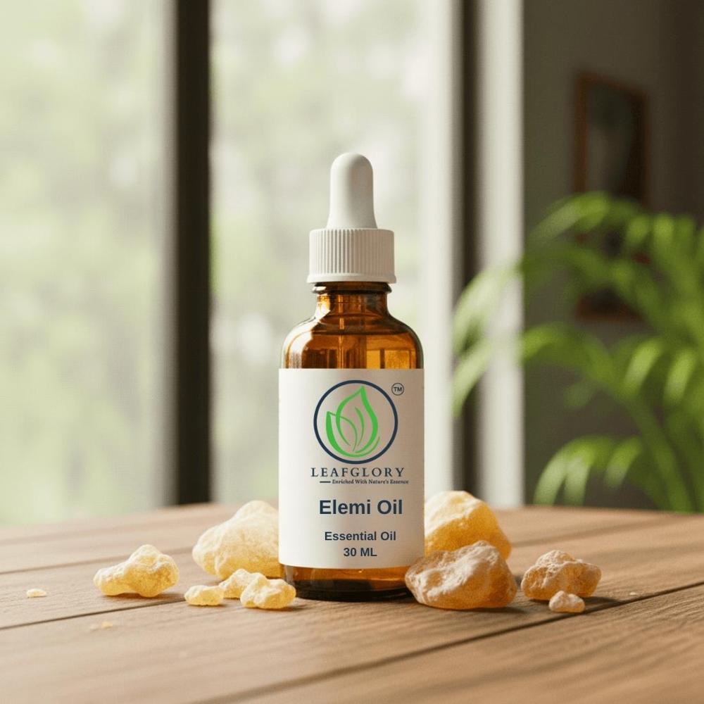 Elemi Oil (Canarium luzonicum Essential Oil) | 100% Pure & Natural Resin Oil for Perfumery, Cosmetics & Aromatherapy | Manila Elemi Resin Oil | Manufacturer & Exporter | Leafglory