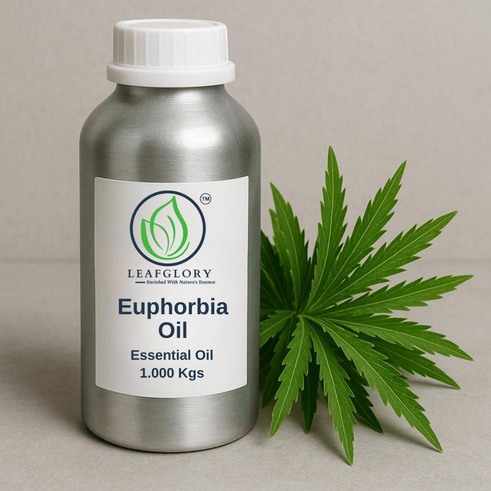 Euph-Orbia Oil / Eupho-Rbia Resin Oil & Euph-Orbia Seed Oil/Euphorbia Lathyris/Hirta Seed Oil | Natural Specialty Oil For Industrial & Technical Applications | Manufacturer & Exporter | Leafglory - Age Group: All Age Groups