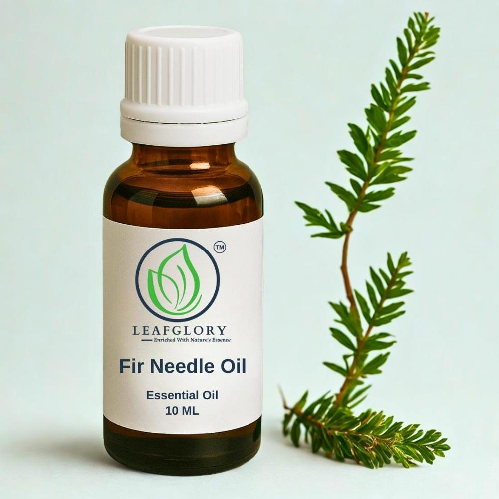 Fir Needle Oil (Abies sibirica / Abies balsamea Essential Oil) 100% Pure & Natural Conifer Needle Oil for Cosmetics, Aromatherapy & Home Care | Sweet Forest Aroma | Manufacturer & Exporter | Leafglory