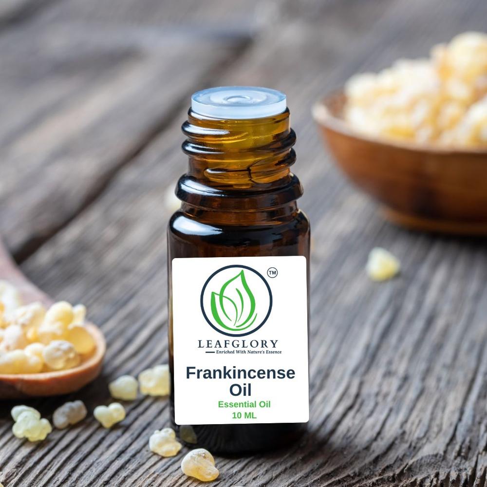 Frankincense Oil (Boswellia serrata/ Boswellia Carterii Essential Oil)  100% Pure & Natural Resin Oil/ Olibanum Oil  for Perfumery, Cosmetics & Aromatherapy | Manufacturer & Exporter | Leafglory
