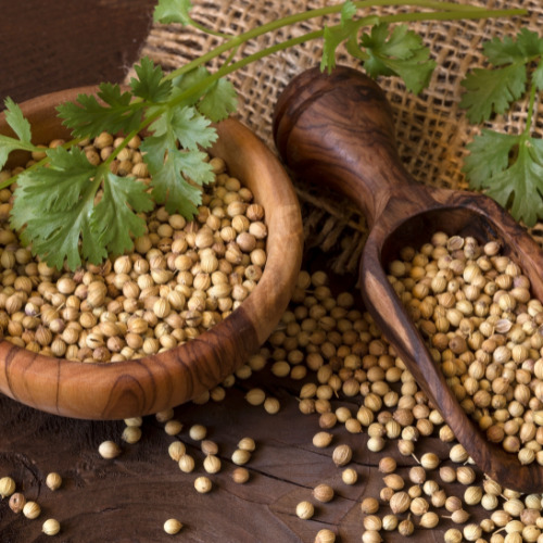 Coriander Eagle - Grade: Food Grade