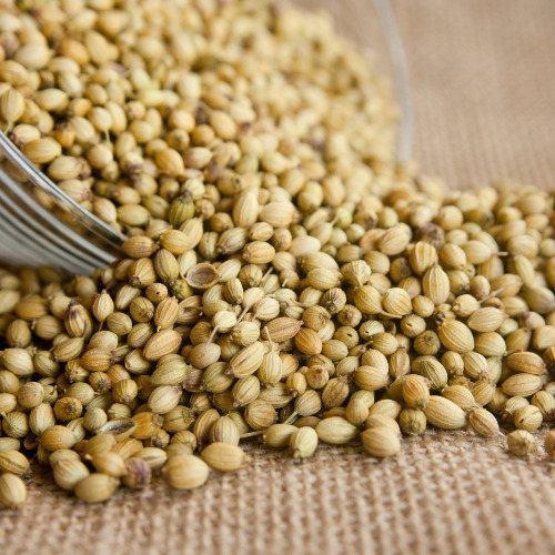 Coriander Eagle+ - Grade: Food Grade
