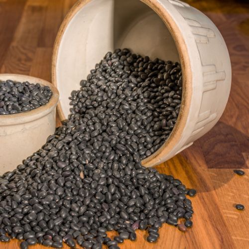 Black Turtle Beans - Cultivation Type: Organic