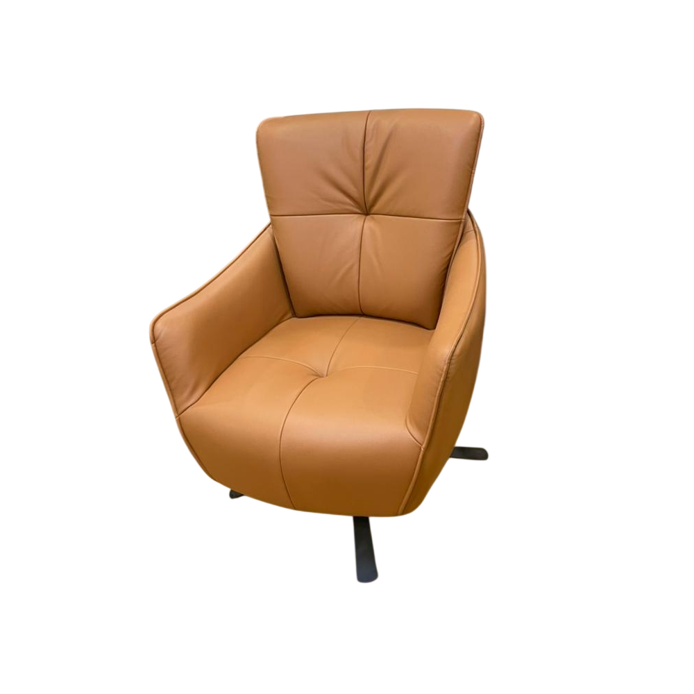 Reclining Chair With Armrest - Color: As Per Requirement