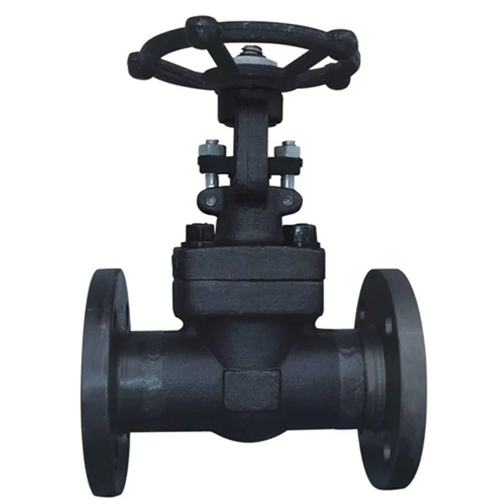 Forged Steel Gate Valves Class 150 Flanged End