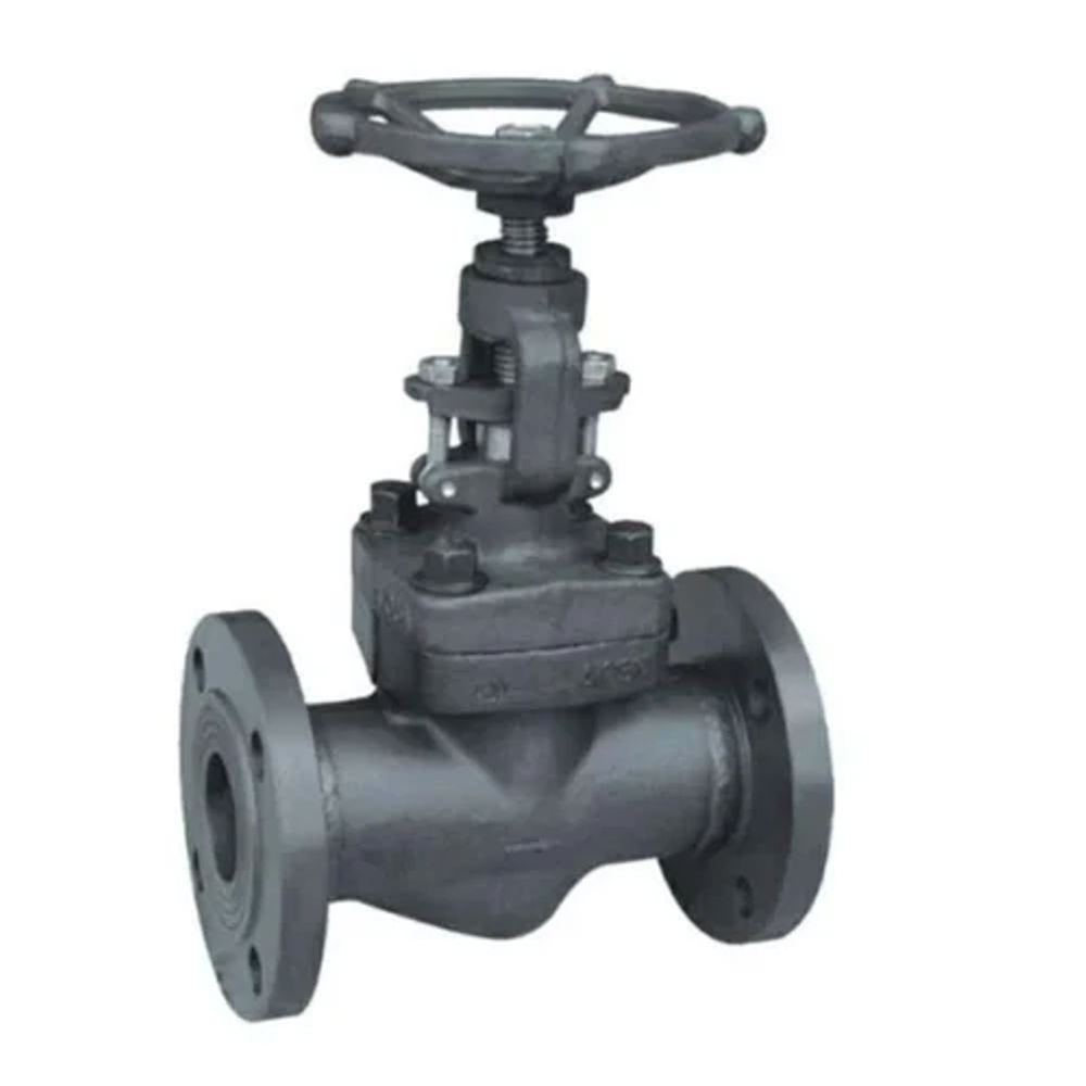 Forged Steel Globe Valves Class 150 Flanged End - Color: Black