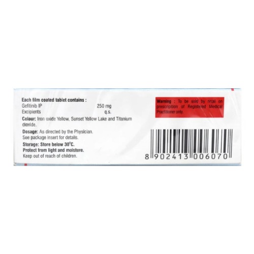 Gefonib 250 mg Tablet