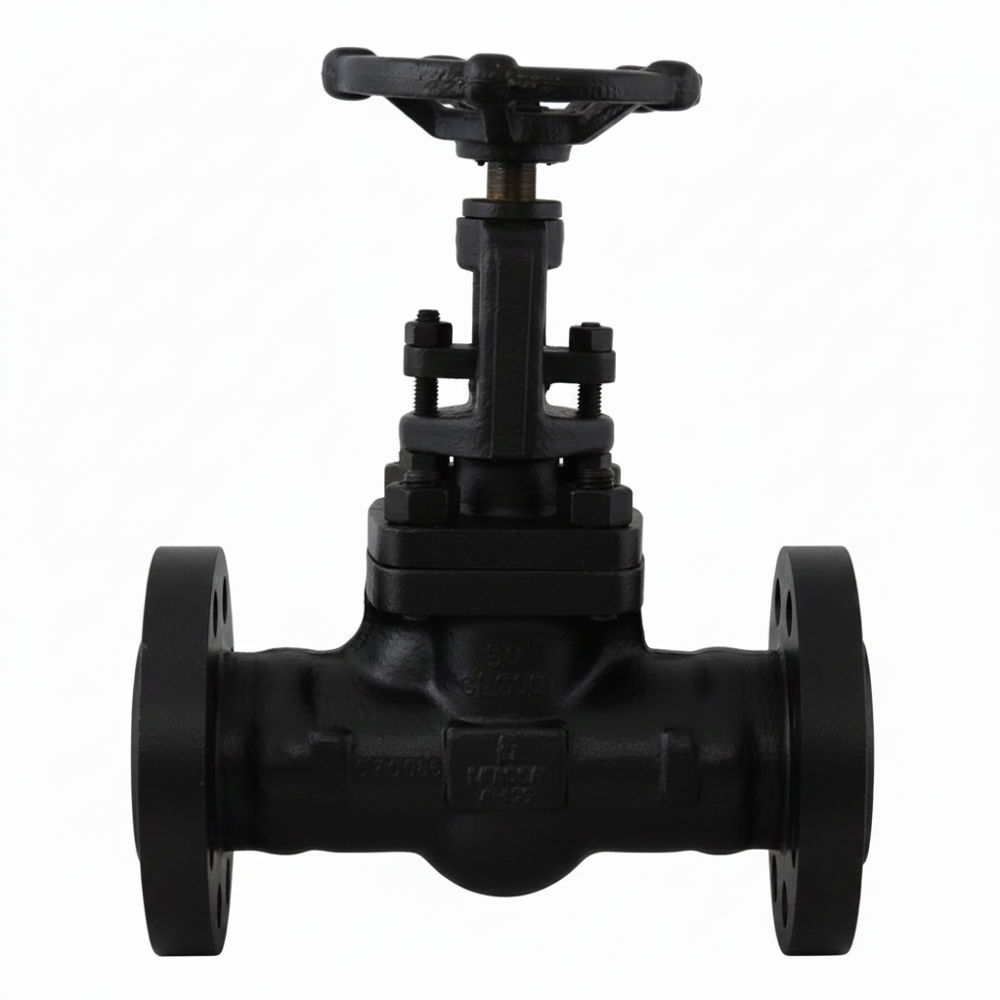 Forged Steel Gate Valves Class 300 Flanged End