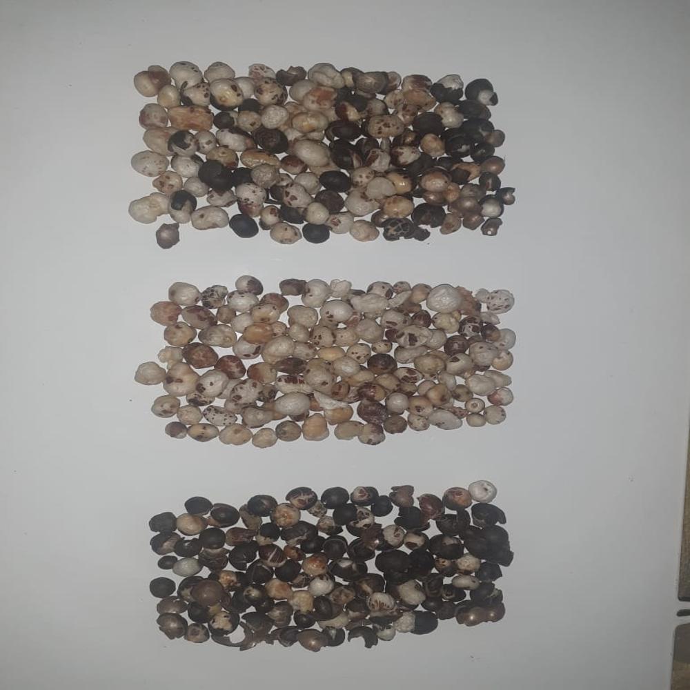 Makhana Sorting Machine