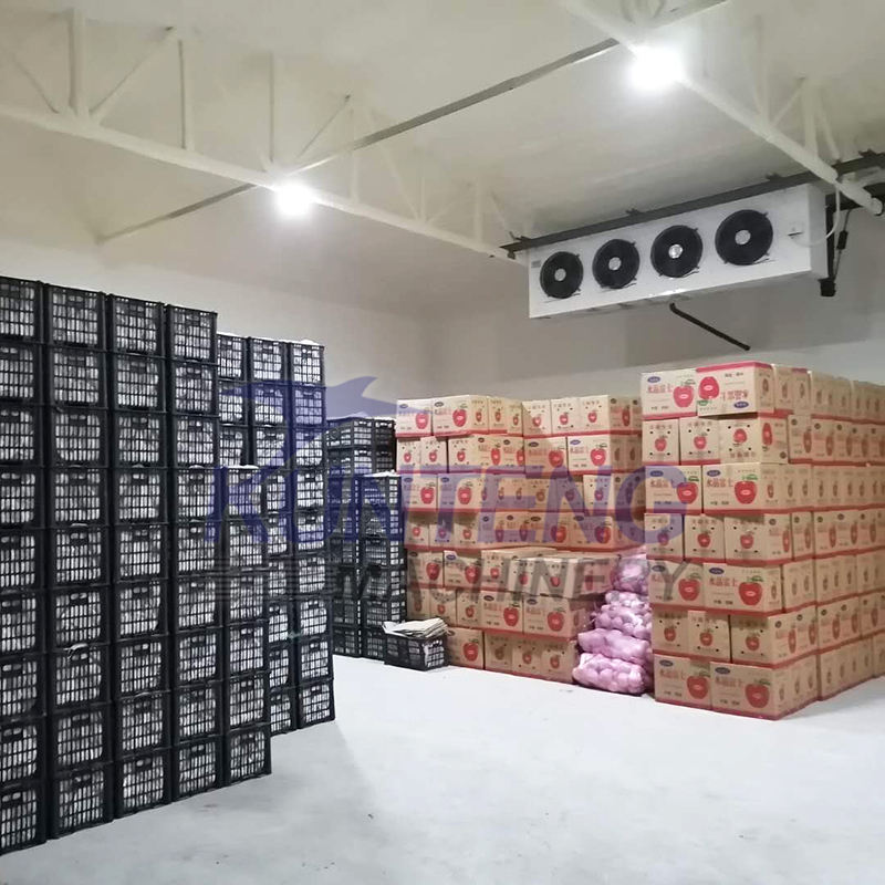 Large customizable food cold storage