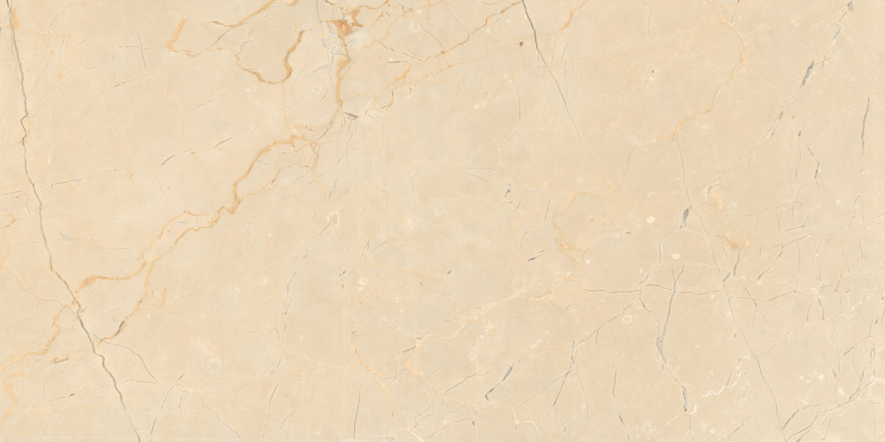 DLG - 128 60X120CM PORCELAIN TILES