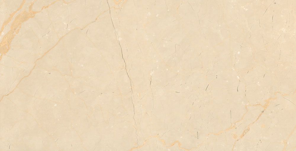 DLG - 128 60X120CM PORCELAIN TILES