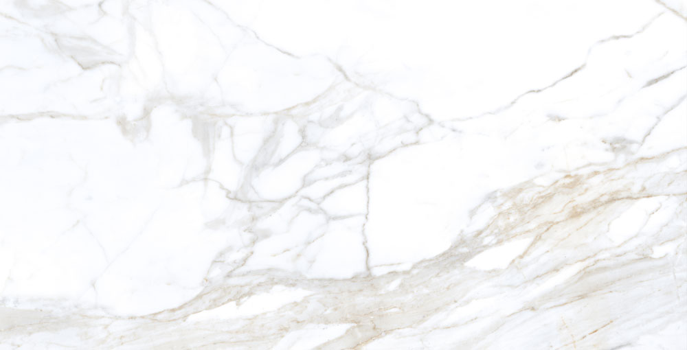 DLG - 130 60X120CM PORCELAIN TILES